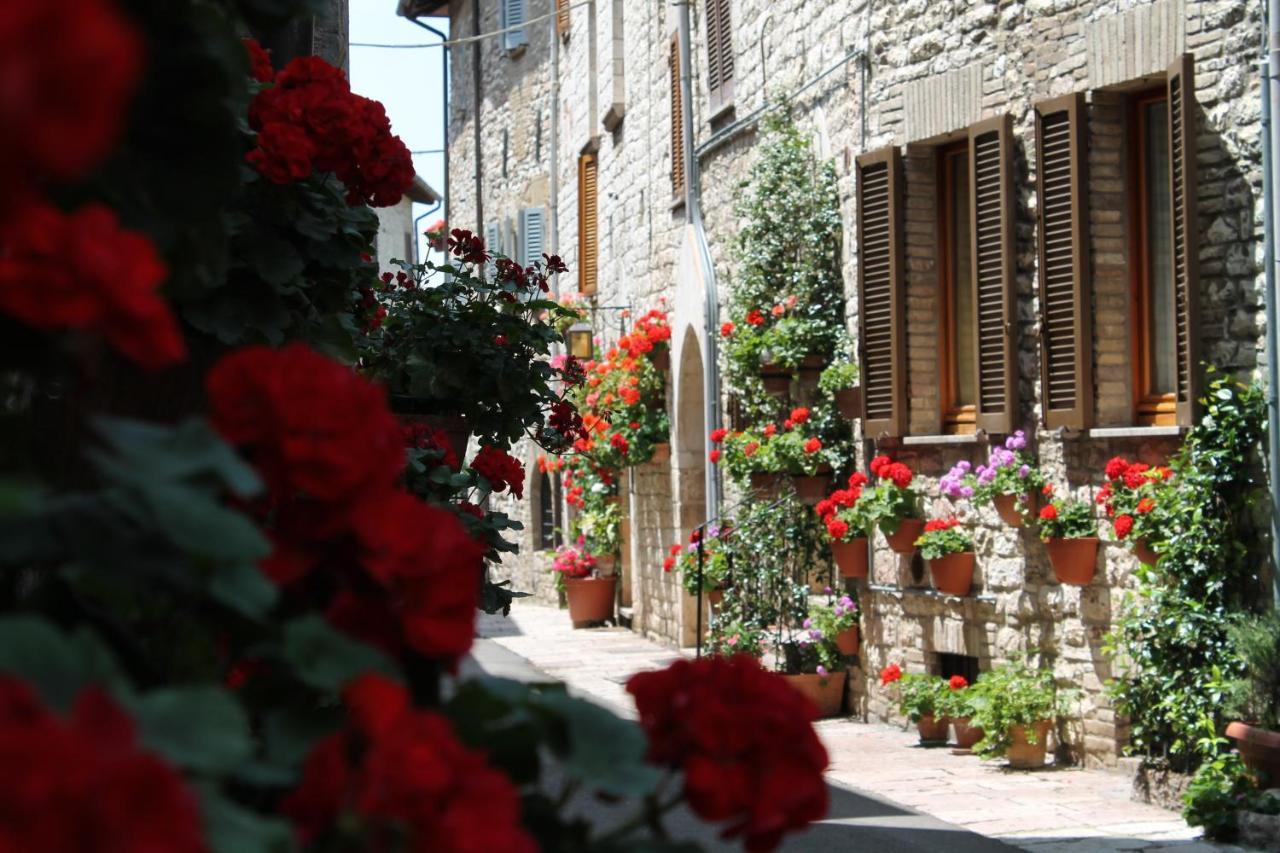 Casa Gentile Διαμέρισμα Ασίζη Εξωτερικό φωτογραφία