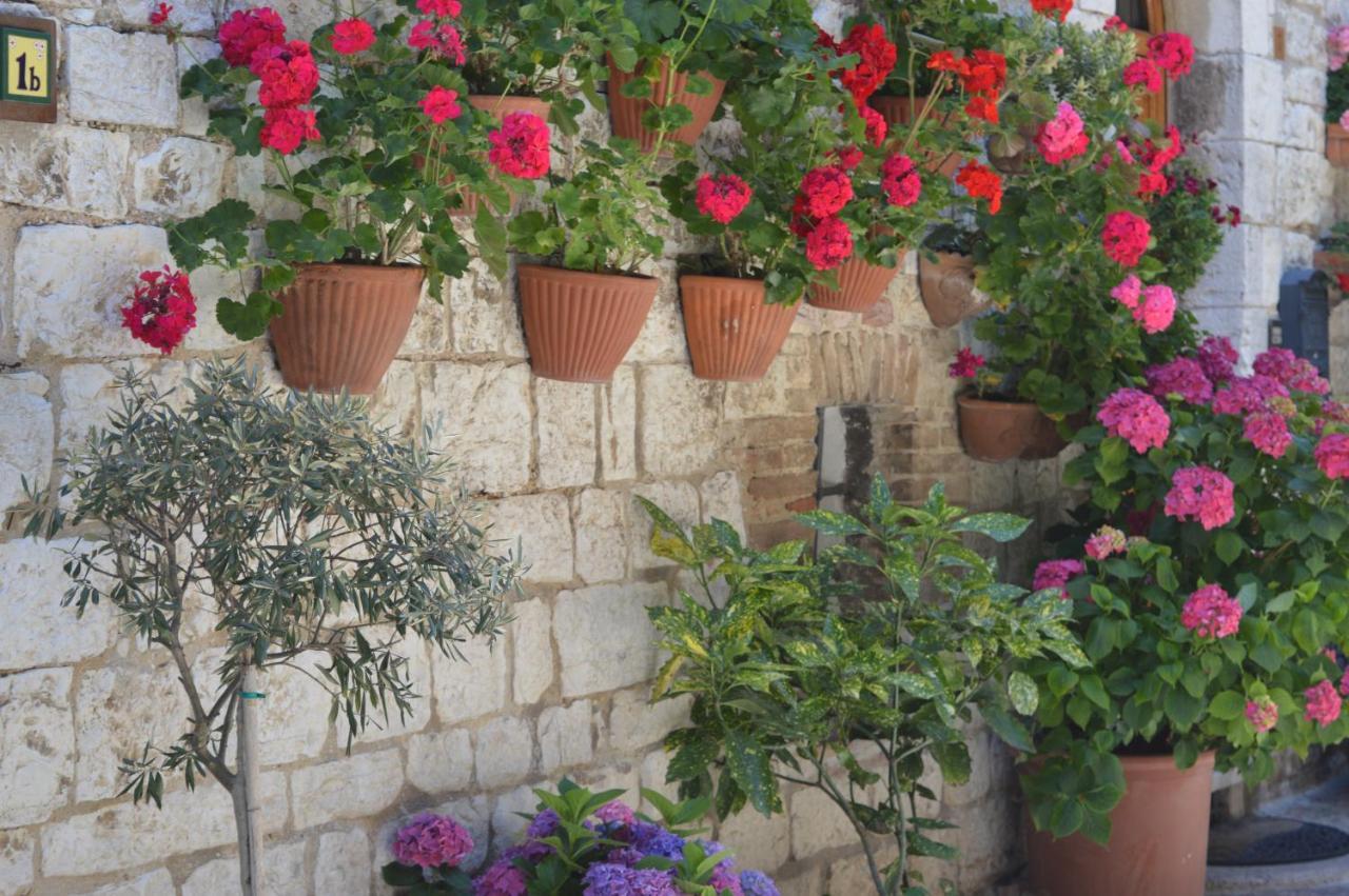 Casa Gentile Διαμέρισμα Ασίζη Εξωτερικό φωτογραφία
