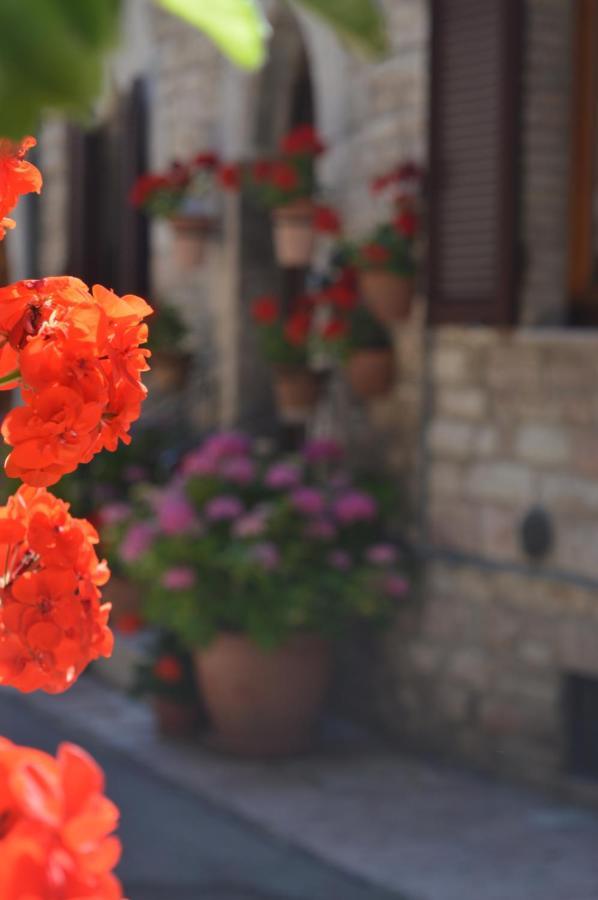 Casa Gentile Διαμέρισμα Ασίζη Εξωτερικό φωτογραφία